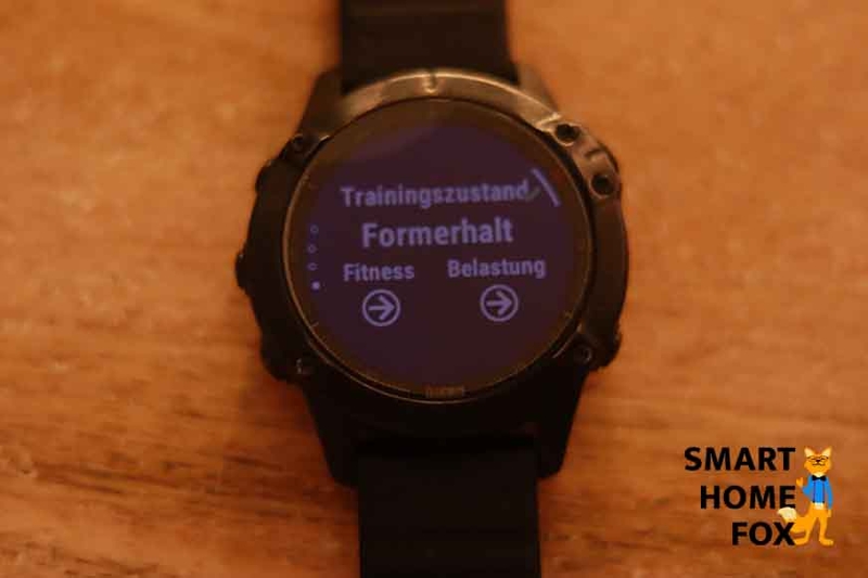 Вы можете просматривать данные о проведенных тренировках на Garmin Fenix 6.